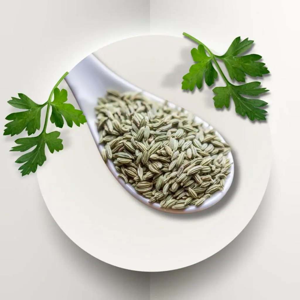 بذور البقدونس